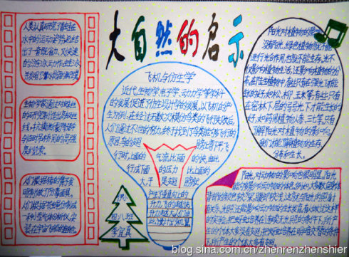 大自然的启示
