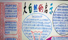 从大自然得到的启示