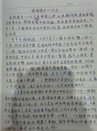 我的故乡日记