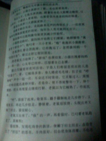 写一个朋友的作文400个单词