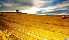 我爱秋天的景色