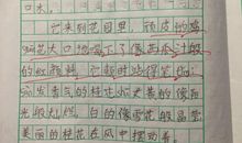 风景的作文300字