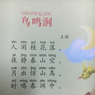 Birdsong流扩展