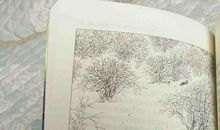 双面猎犬读后感