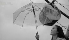 好大一场雨作文