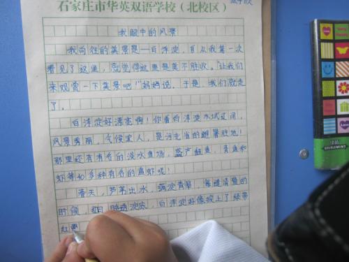 景观构图500字