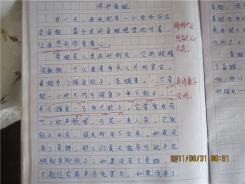 我的成长足迹组成