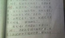 阳光总在风雨后作文500字