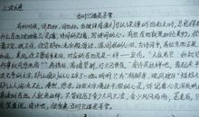 《撒哈拉的故事》读后感