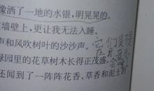 追踪小绿人读后感