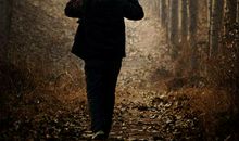 经典语录：爸爸的肩头，是最安全的地方