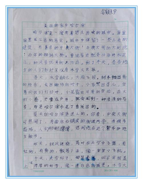 家乡小吃组成