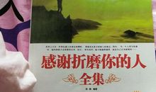 感谢折磨你的人读后感