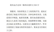 鲸的自述作文300字