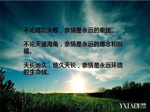 关于父亲的经典句子
