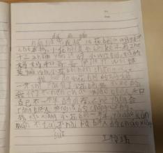 看完花背乌龟
