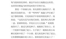 我尝到了成功的滋味作文