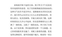 阳光总在风雨后作文记叙文