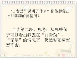 看完狐狸和葡萄