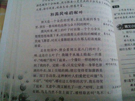 亲子运动会组成