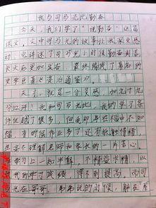 我成功的构图