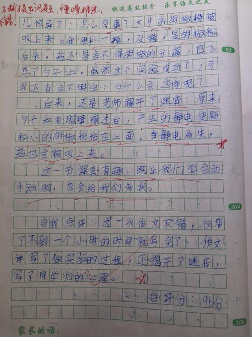 第一个科学实验组成