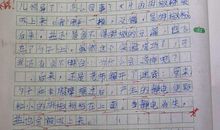 第一次科学实验作文