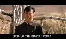 我的父亲母亲影评