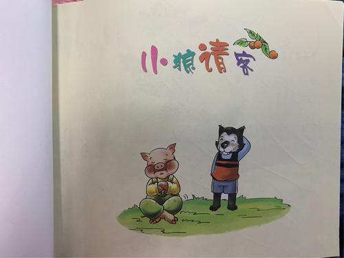 读《小狼零食》后的感想