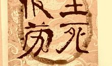 生死疲劳读后感1000字