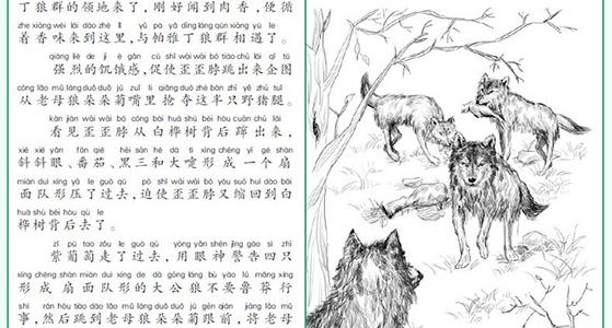 狼国女王