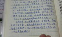 关于父母爱的作文