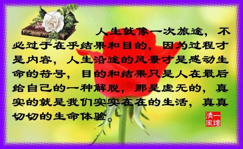 感谢报价