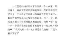 一次成功的尝试作文400字