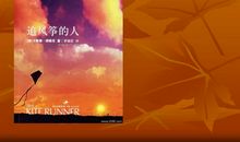 风筝下的少年读后感