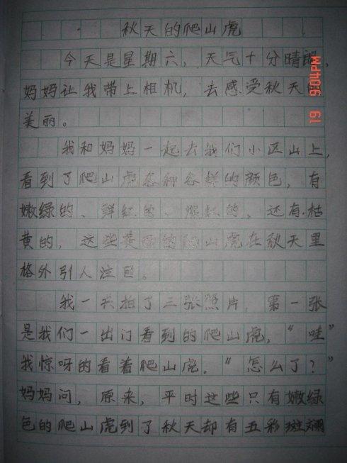 三年级日记大全200字