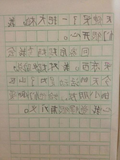 一年级日记30字