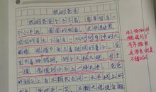 写做实验的作文