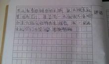 黄山导游词300字作文