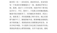 做家务作文200字