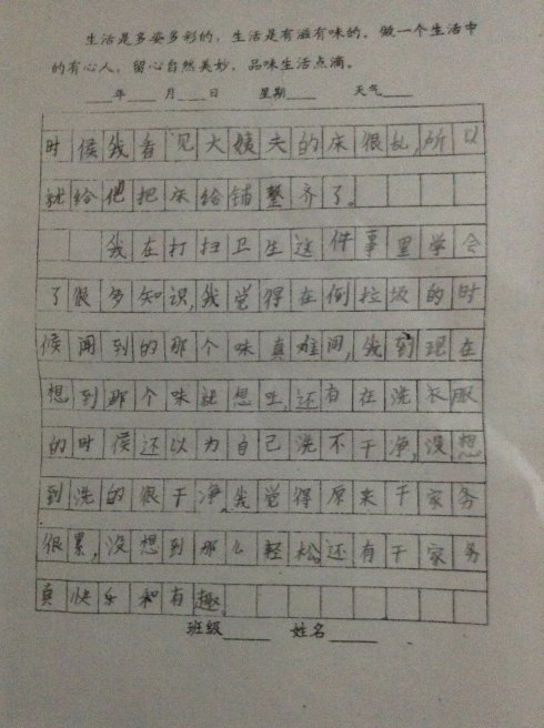 家务作文250字
