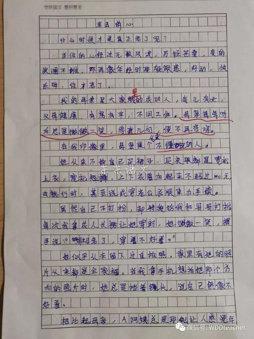家庭小学组成