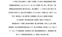 生命因爱而精彩作文