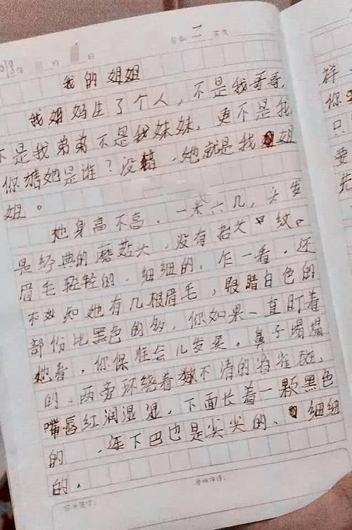 关于弟弟的作文