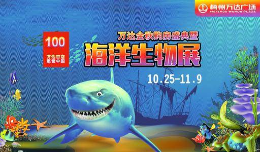 看完《海洋探索》之后
