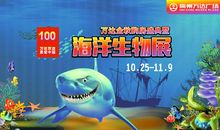 海洋探秘读后感