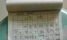 做家务作文500字