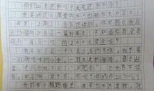 给哥哥的一封信作文