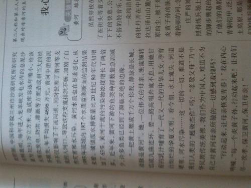 我的兄弟作文500字