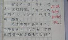 二年级小学生日记